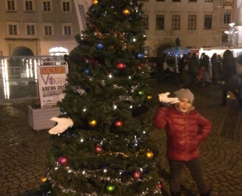 lebendiger Christbaum mieten